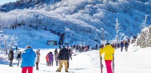 浪漫的冬季韩国之旅